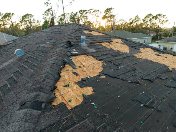 Best Chimney Flashing Repair  in Granbury, TX