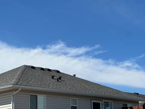 Best Chimney Flashing Repair  in Granbury, TX